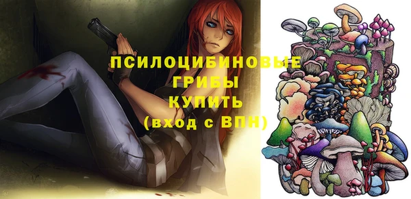 ешки Алзамай